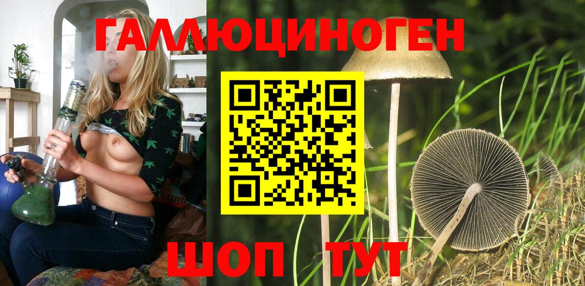 закладка  Вход с VPN  Химки  Псилоцибиновые грибы мицелий 